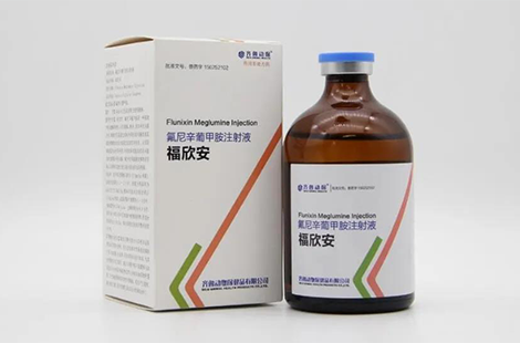 氟尼辛葡甲胺注射液